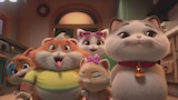 Meatball’s Lucky Day