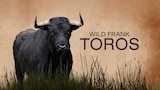 Wild Frank: toros