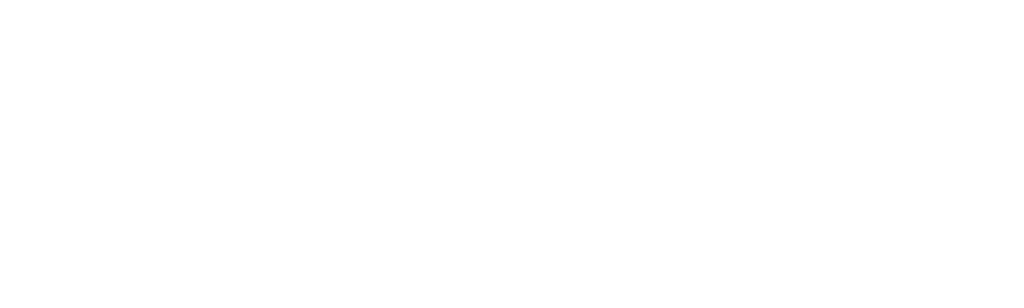 Wild Frank: toros