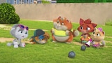 The Basketfur Game