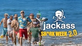 Jackass Shark Week 2.0