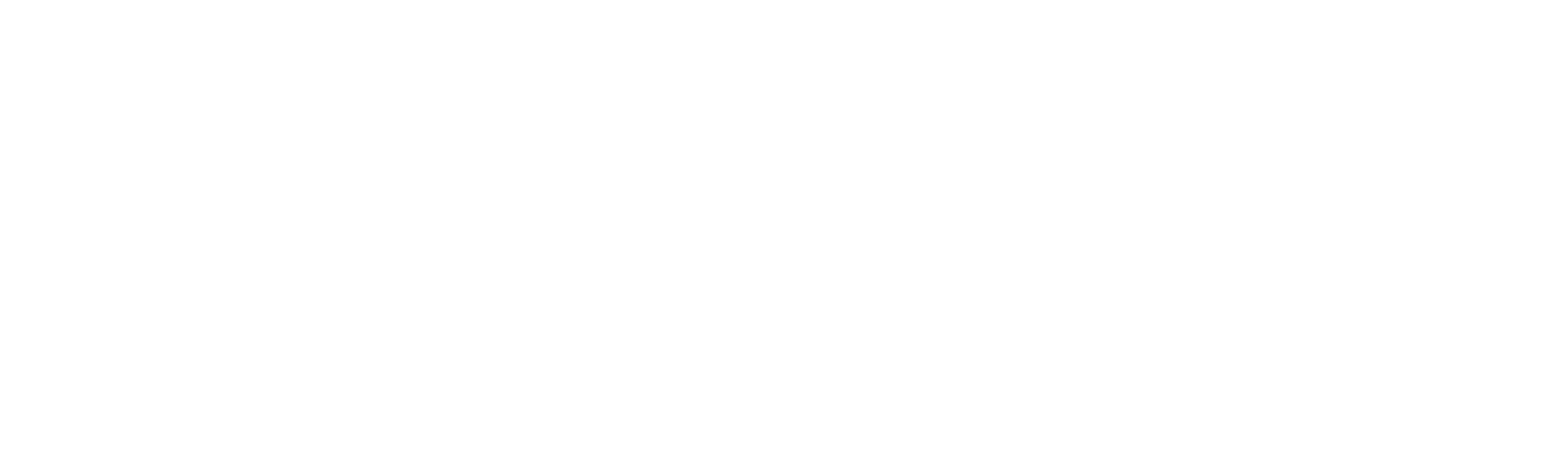 What Killed Maradona?