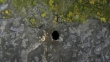 La cueva del infierno