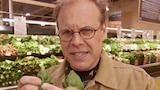 American Classic I: Spinach Salad