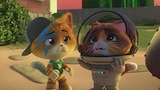 Cosmo, the Astronaut Cat