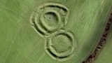 Circles of the High Kings