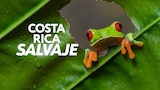 Costa Rica salvaje