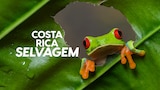 Costa Rica Selvagem