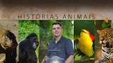 Historias Animais