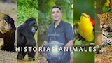 Historias animales