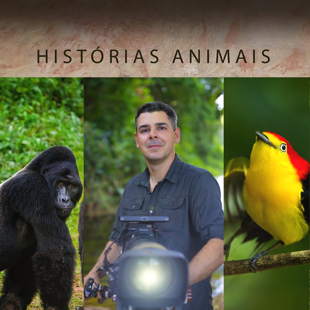Historias Animais