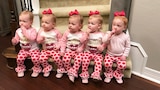 Dawn of the Terrible Twos