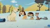 Mundo canino