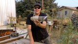 Treasures of Dulcich's Backyard
