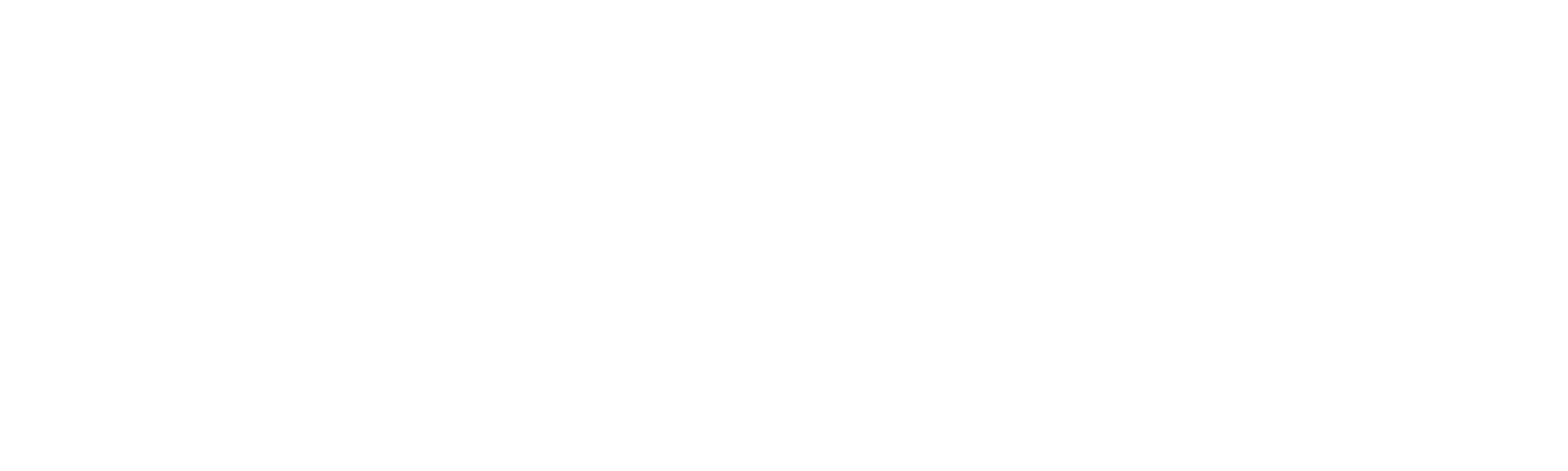 Todo en 90 días: Jenny y Sumit