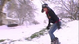 Roloffs in the Snow