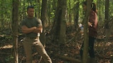 Ep. 6 - Perdido en el bosque, parte 2