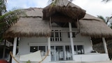 Setting Down Roots in Tulum