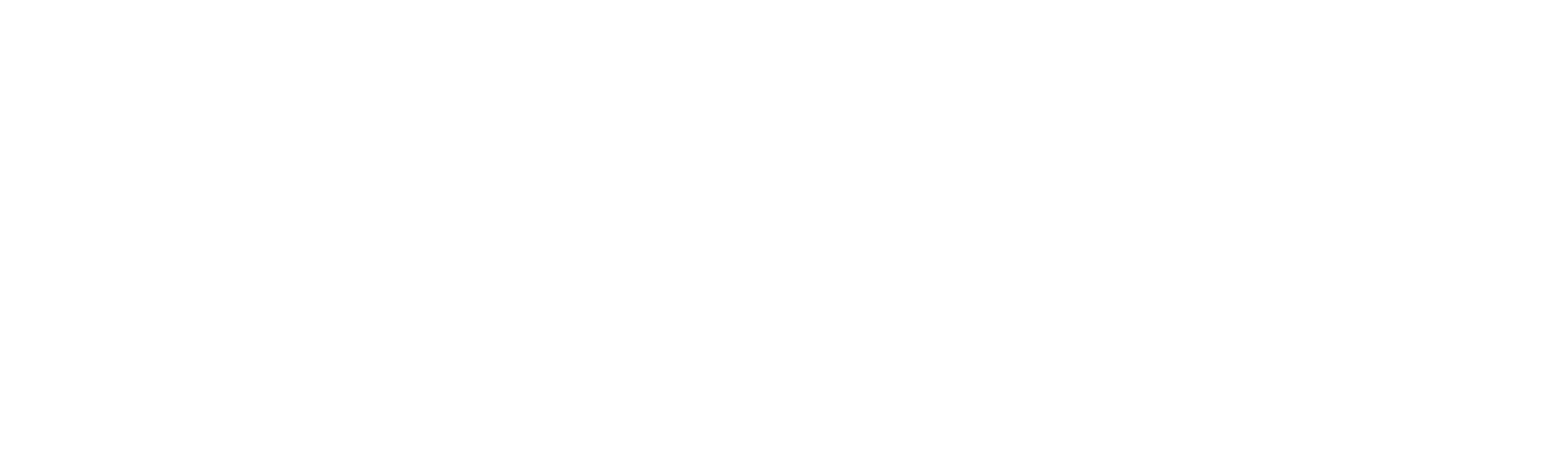 Do Caos ao Sonho com a Família Holmes