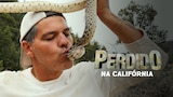 Perdido na Califórnia