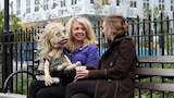 Ventriloquist/Cat Lady