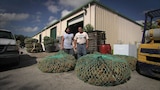 Esponjas de mar
