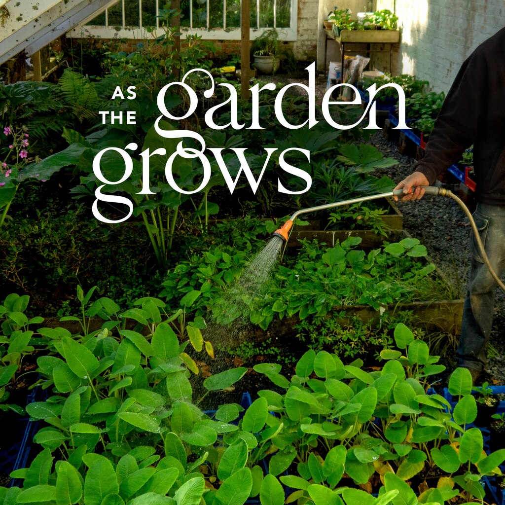 As the Garden Grows