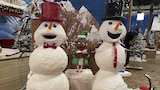 North Pole Wedding