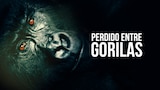 Perdido Entre Gorilas