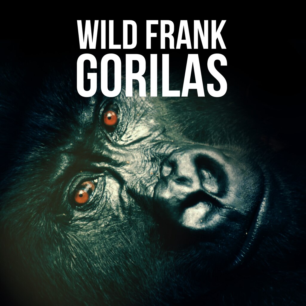 Wild Frank: Gorilas