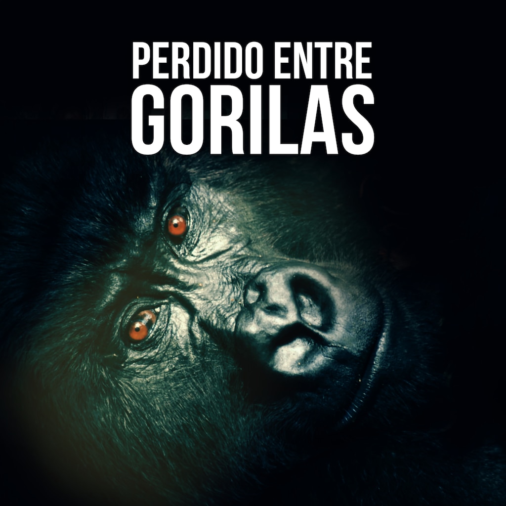 Perdido Entre Gorilas