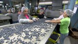 Pasta Dies, Blueberries, Composting Toilets, and Surge Arresters