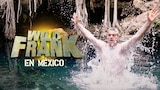 Wild Frank en México