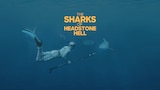 The Sharks of Headstone Hell