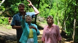 Una casa en los árboles para pájaros