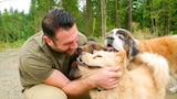 Meet the Underdogs