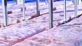 Fiberglass Insulation, Wooden Ducks, Gumball Machines, and Exhaust Systems