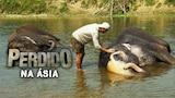 Perdido na Ásia