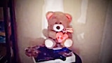 Haunted Teddy Bear and More