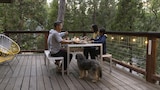 Alpine Modern