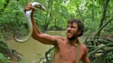 Den of Vipers