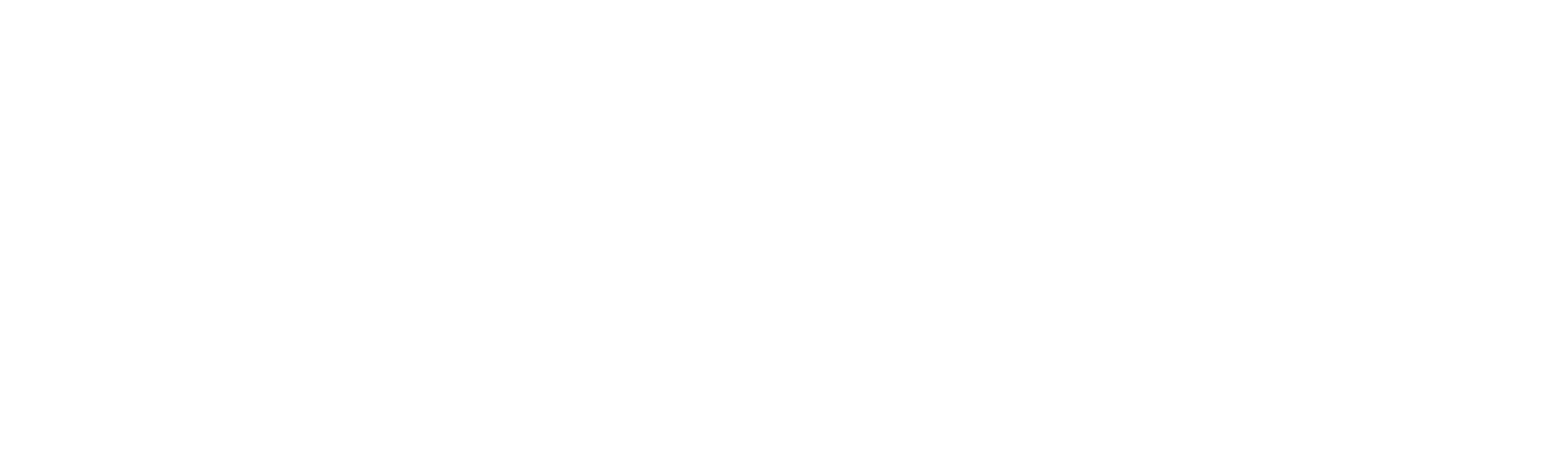 Todo en 90 días: Jorge y Anfisa