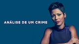 Análise de um Crime