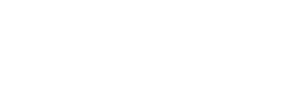 The Johnnyswim Show
