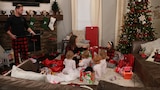 I'm Dreaming of a Cajun Christmas