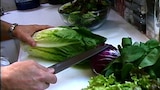 Salad Daze