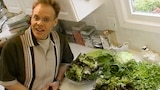 Salad Daze