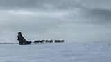Nightmare Below Zero