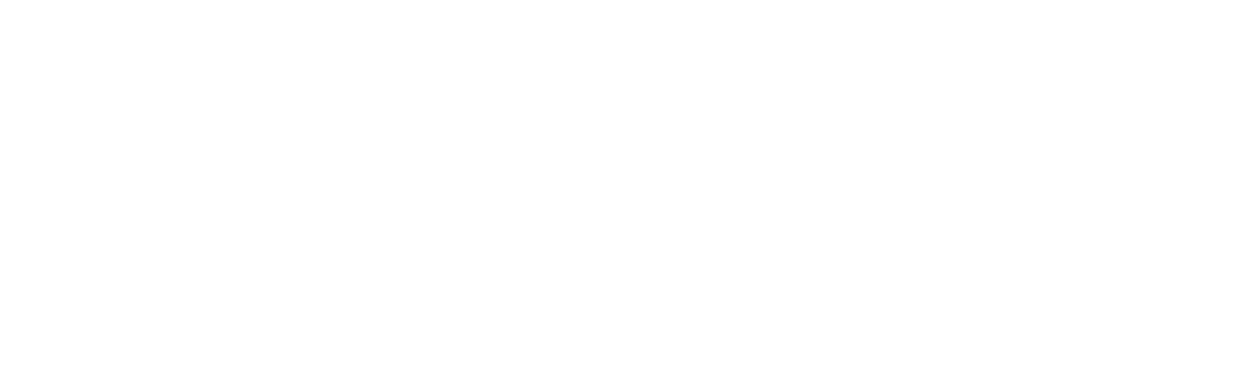 Barras Bravas