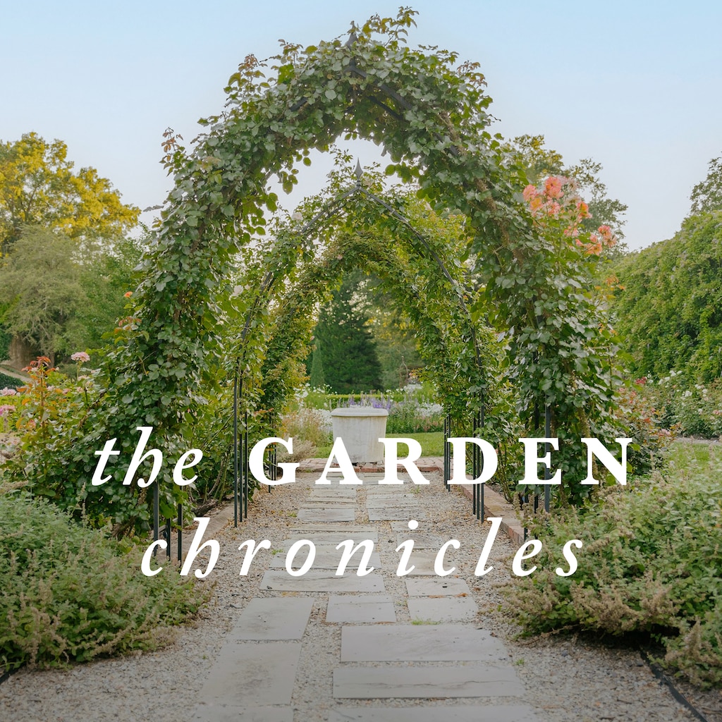 The Garden Chronicles